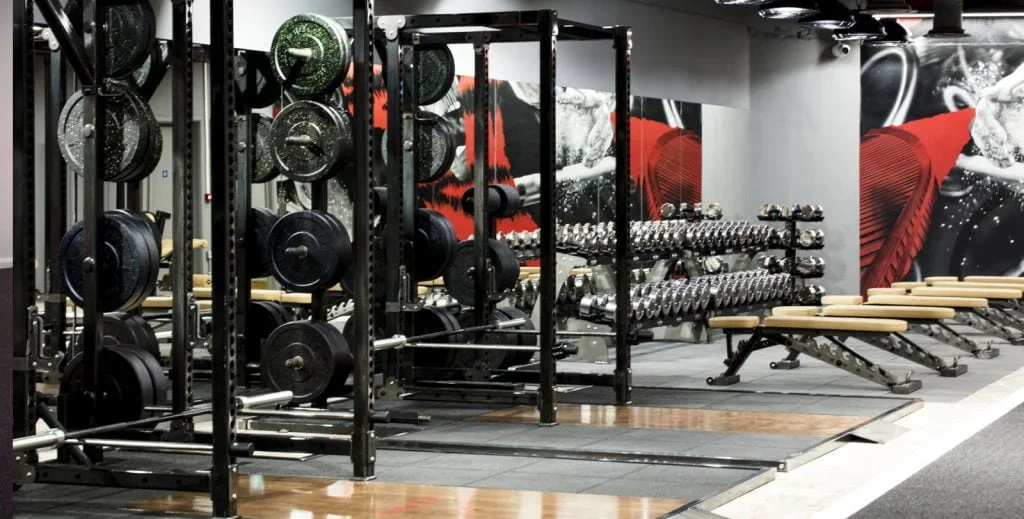 Roar Fitness